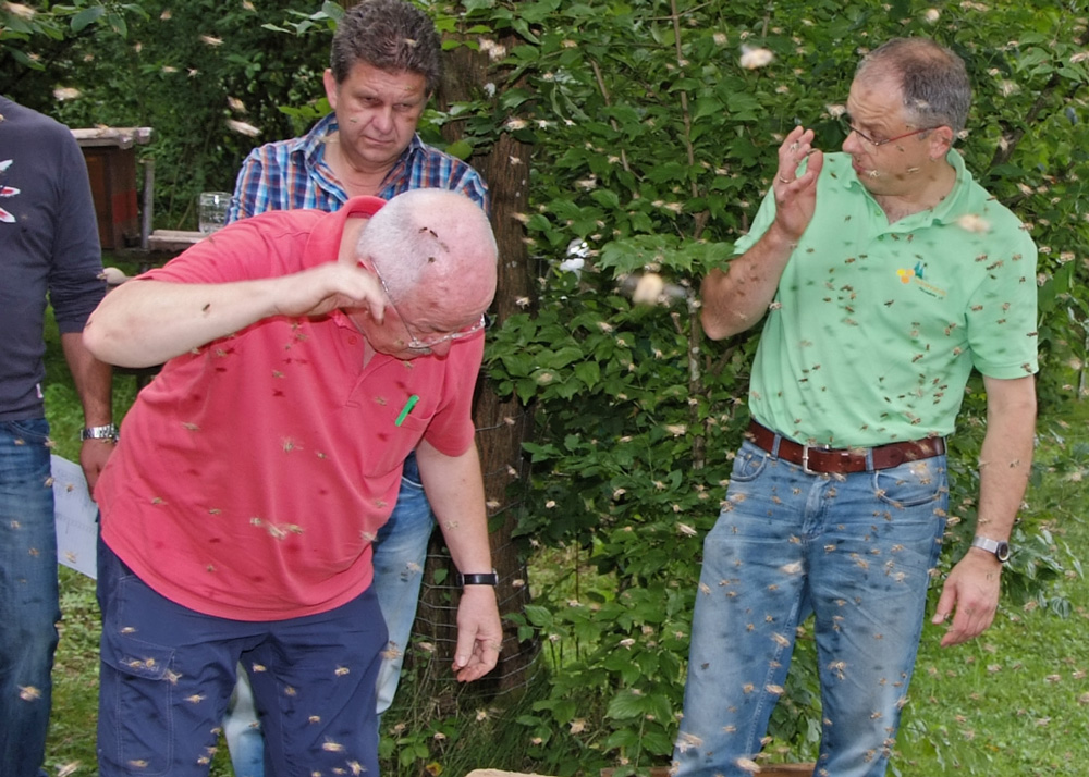 2014 07 27 Spuergin Bernwa2