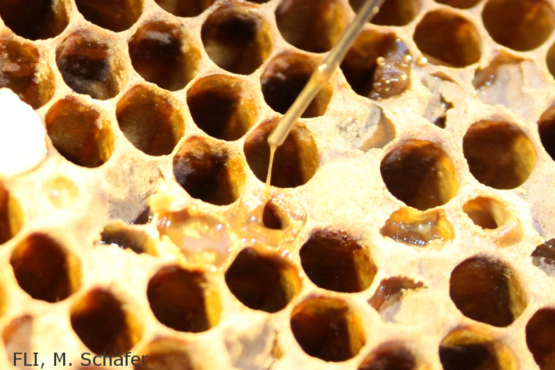 Tatort Altglascontainer