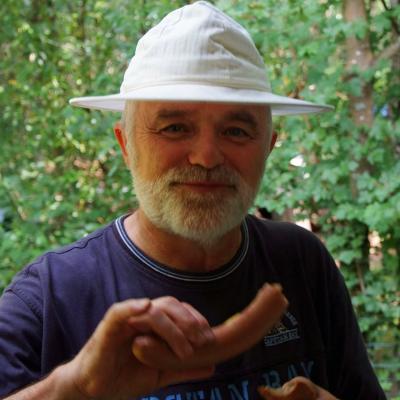 Dscf3119 Bearbeitet 1